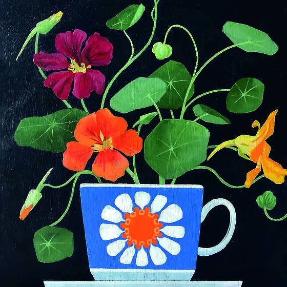 Orange Nasturtium for wholesale by Paper Bird Publishing