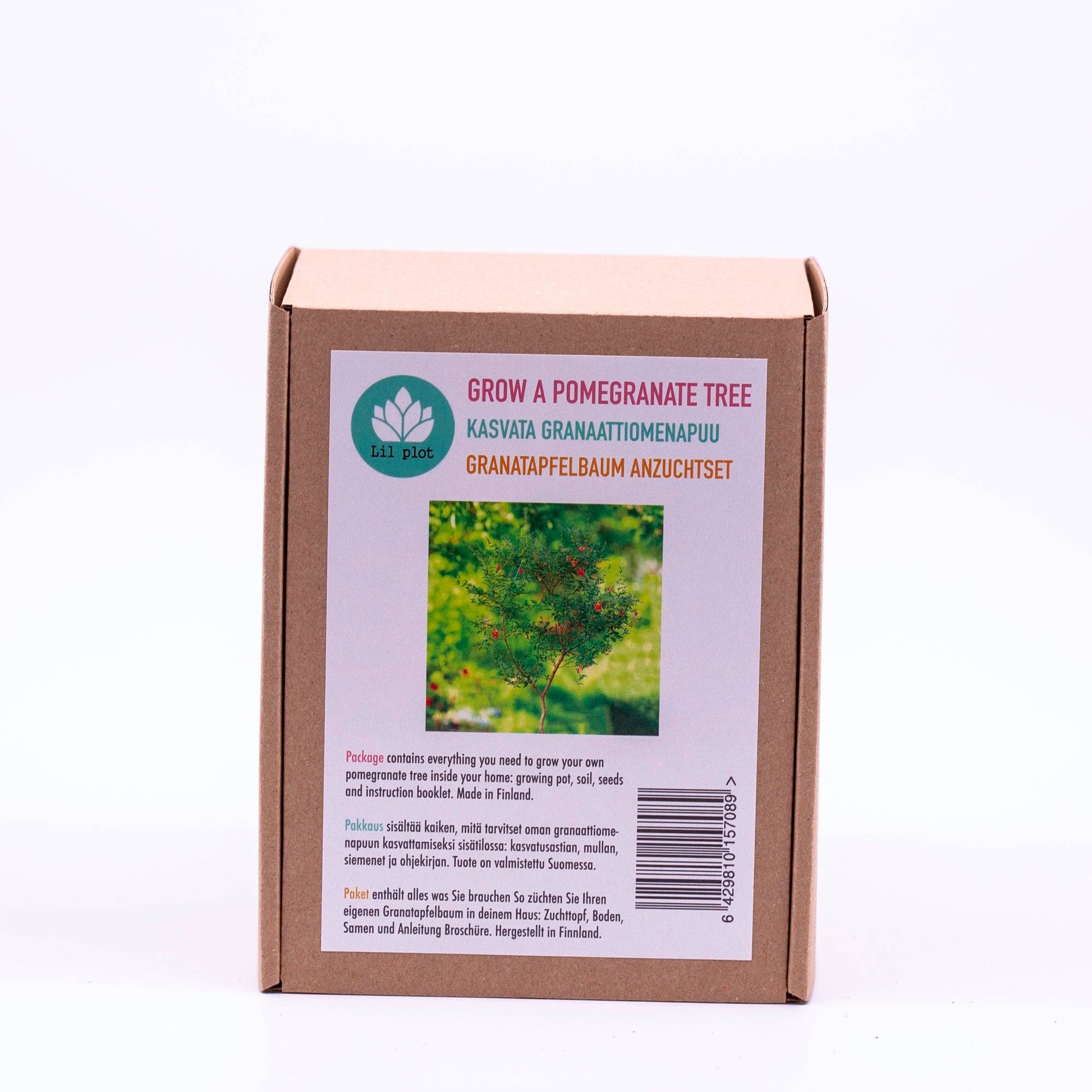 Lil Plot - Wholesale Plant Seeds - Pomegranate Tree Growing Kit2