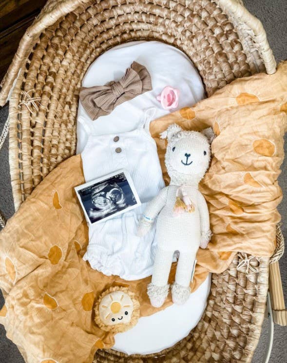 Itzy Ritzy - Wholesale Pacifier - Baby - *NEW SIZE* Sweetie Soother™ Pacifier Sets (2-pack)30