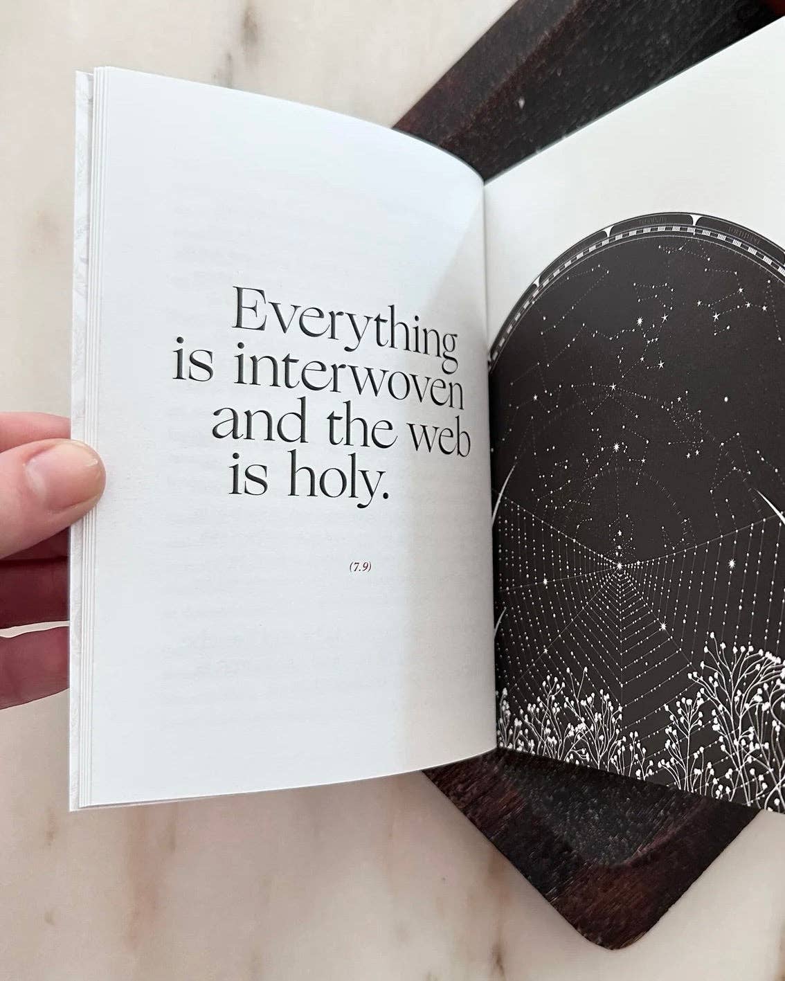 Obvious State - Wholesale Philosophy Book - The Meditations, Marcus Aurelius2