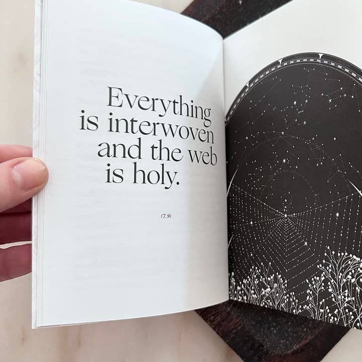 Obvious State - Wholesale Philosophy Book - The Meditations, Marcus Aurelius2