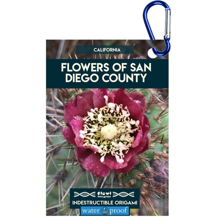 Flowers of San Diego County-Indestructible Origami for wholesale by Flexi Field Guides
