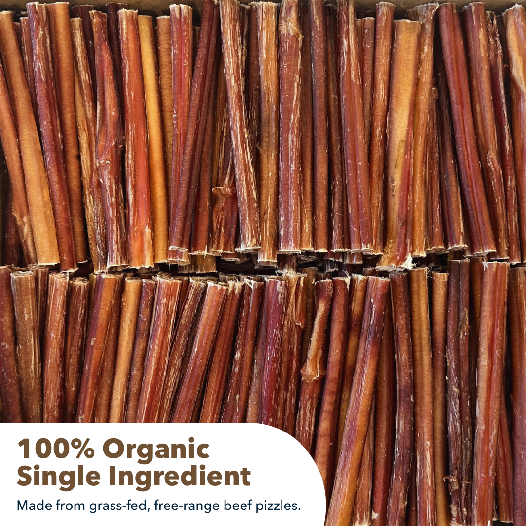 Mighty Chewz - Wholesale Pet Treats - Dog - 6" Thin Bully Sticks $0.96/ Stick (Case Price))6