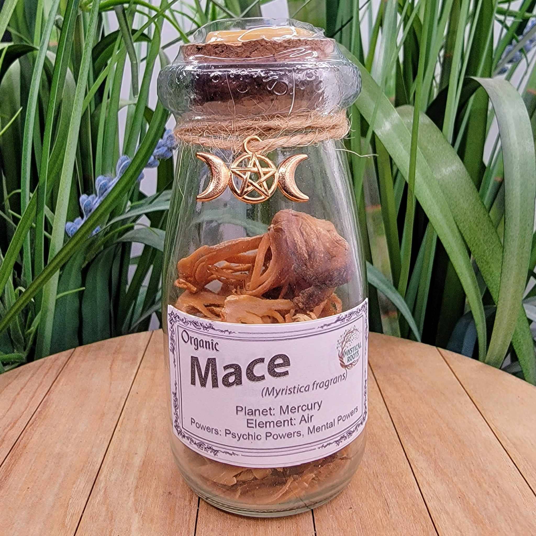 Mystical Roots - Wholesale Herbs - Herb Jar - Mace0