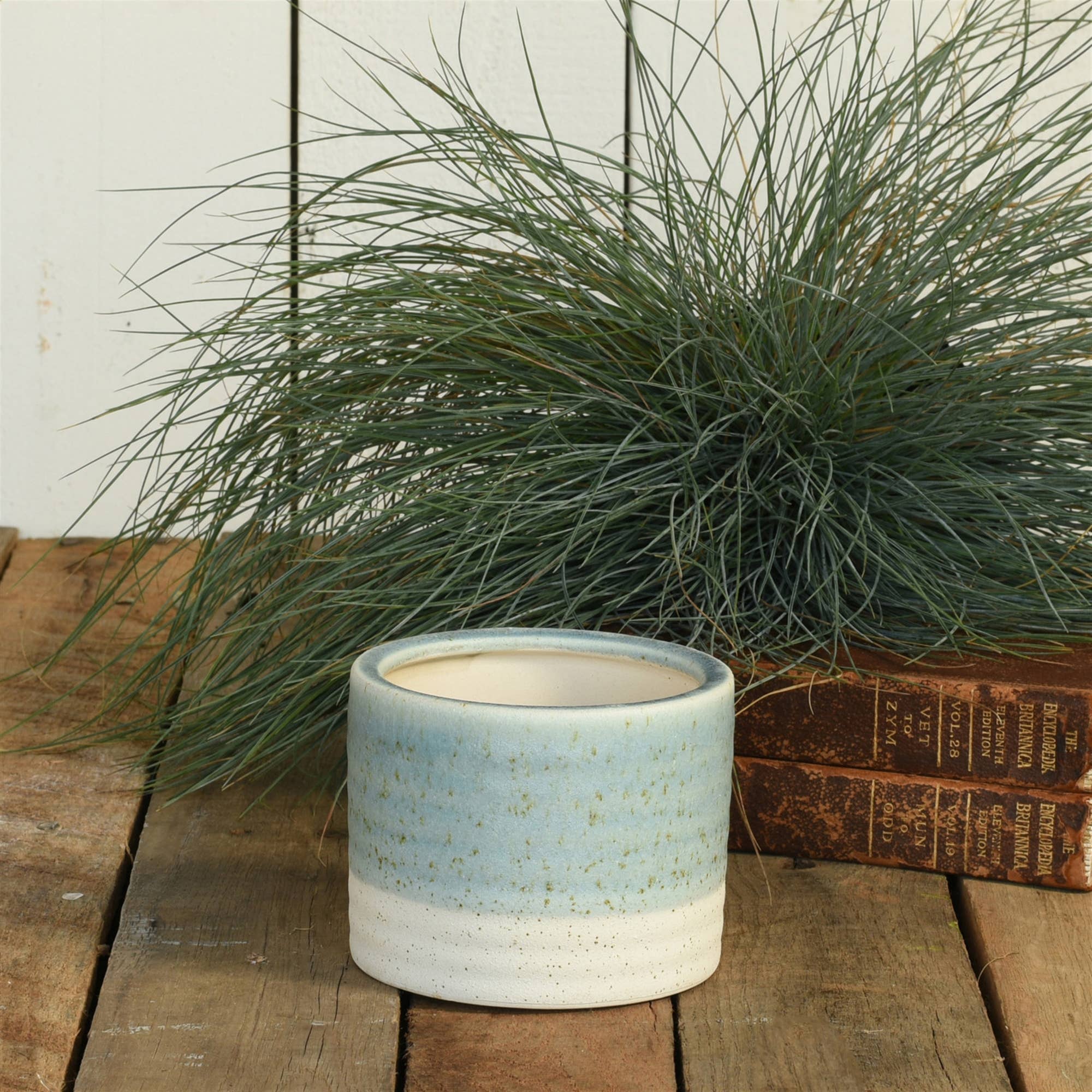 HomArt - Wholesale Plant Pot - Isle Cachepot, Ceramic - Sm - Light Blue3