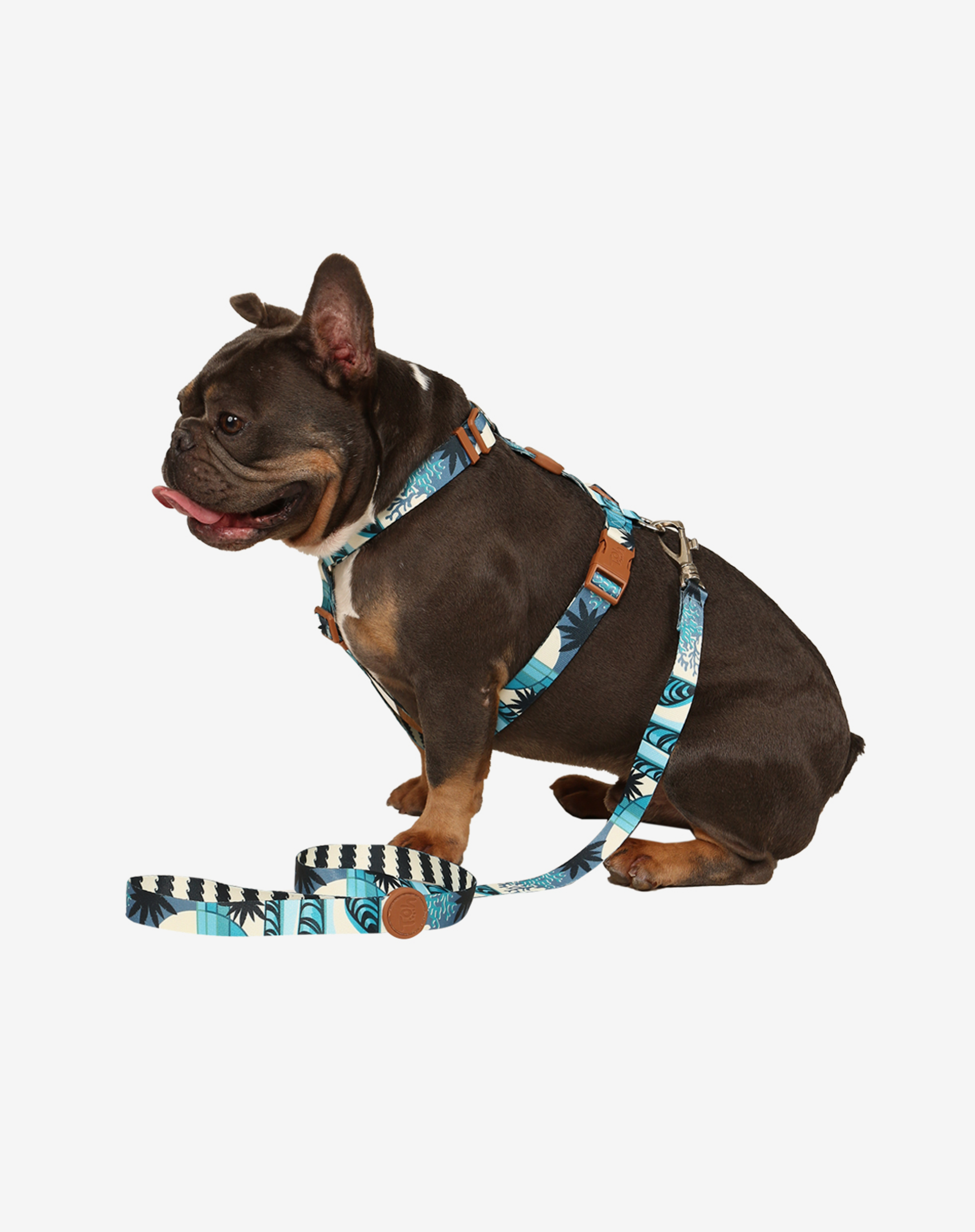 Toh – wholesale Hundkoppel - Hund – H-Harness + Koppelset Noronha1