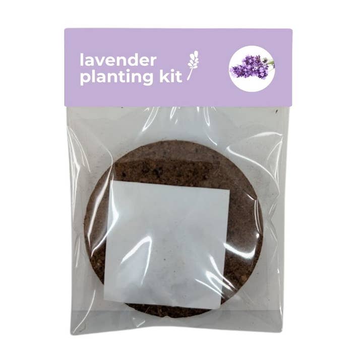 Sprigbox - Wholesale Plant Seeds - DIY Planting Kit | Eco-Friendly | Herbs, Flowers & More