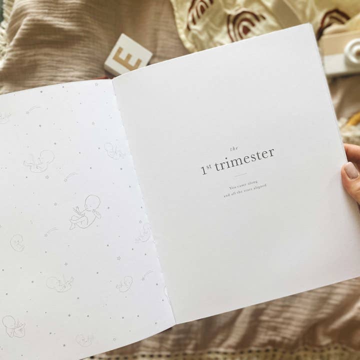 Blush And Gold - Wholesale Diary – Maternity - Pregnancy Journal (Grey) expectant mum + parents to be gift5