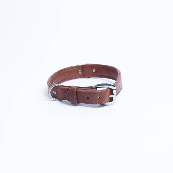 Angel Pet Supplies Inc. - Wholesale Pet Collar - Dog - Dallas Leather Dog Collar by ANGEL™ | Authentic10