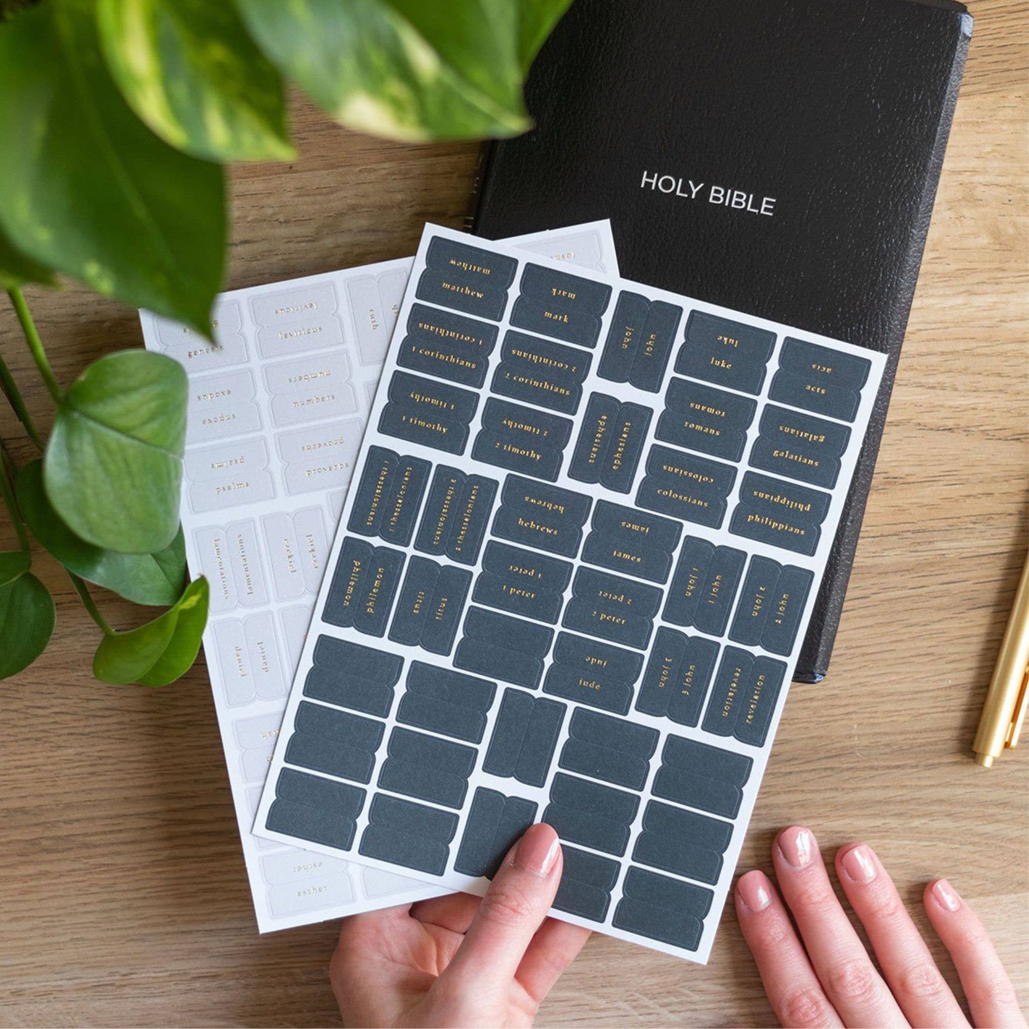 Church Notes Co. - Wholesale Sticker - Navy and Grey Bible Tabs3