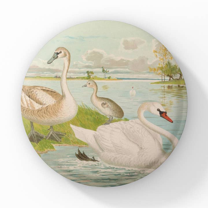 Svanenål, fuglnål, svanenøglering, svanemagnet for engroshandel hos NatureCuts