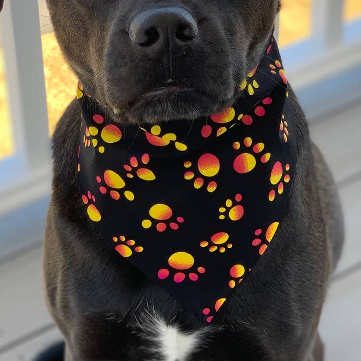 Bo Pawsitive Bandana för wholesale av The Maine Pooch LLC