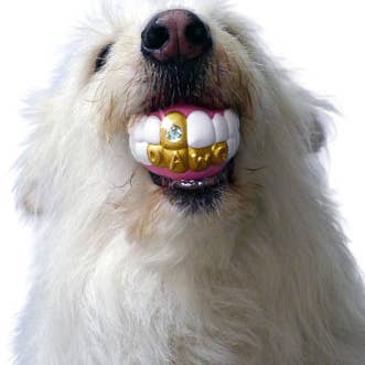 MOODY PET - Wholesale Pet Chew Toy - Dog - Humunga Bling - Durable Rubber Pet Chew Toy for Dogs