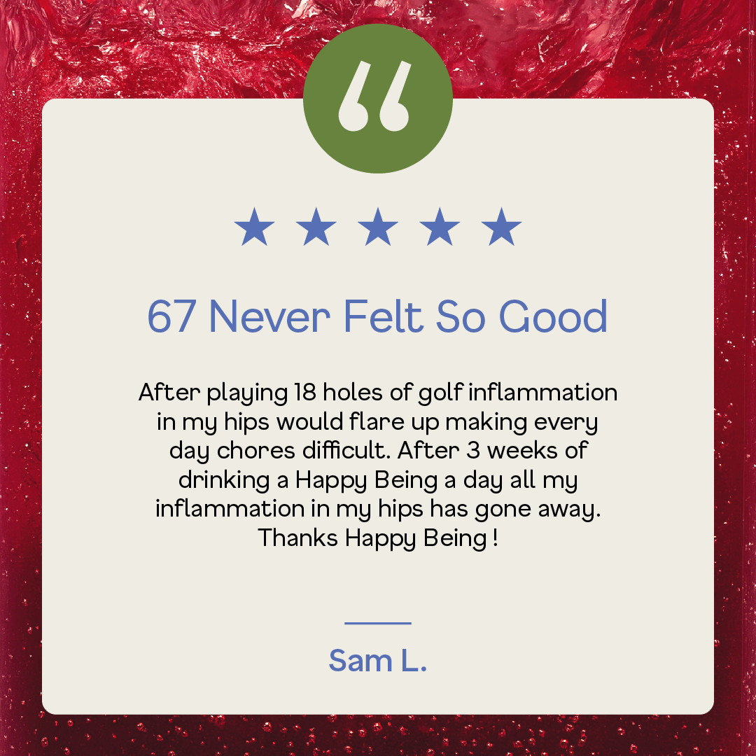 Happy Being - Wholesale Health/Detox Tea - 16 Pack Blueberry5