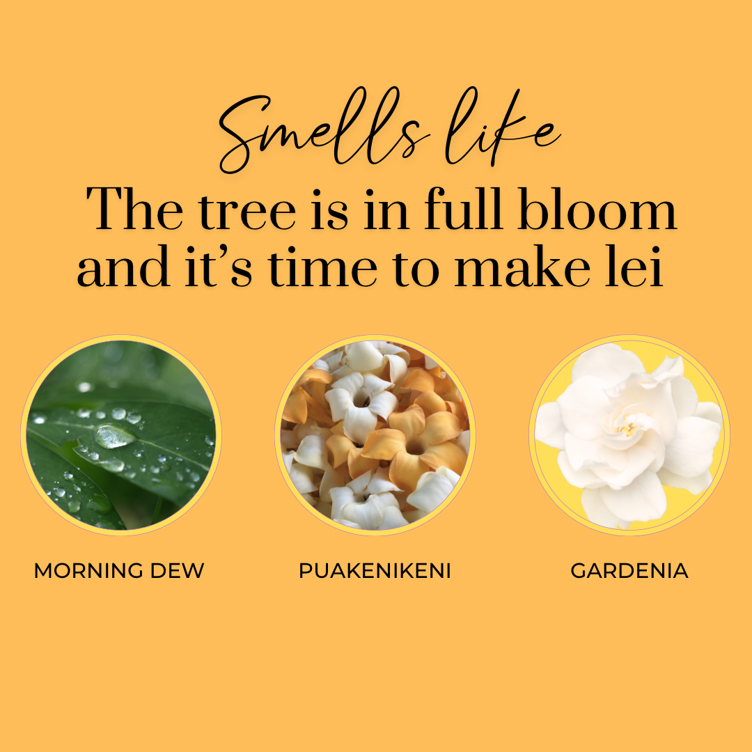 MOEA HAWAII - Wholesale Roll-On Fragrance - Puakenikeni Perfume Oil Roller1