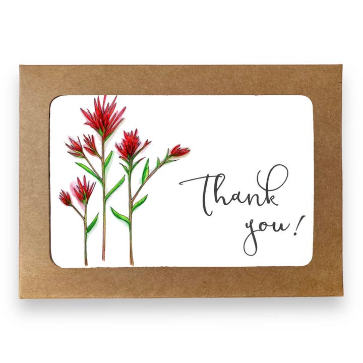Indian Paintbrush Boxed Thank You Notes | Set of 8 Notecards for wholesale by Whimsicals Paperie