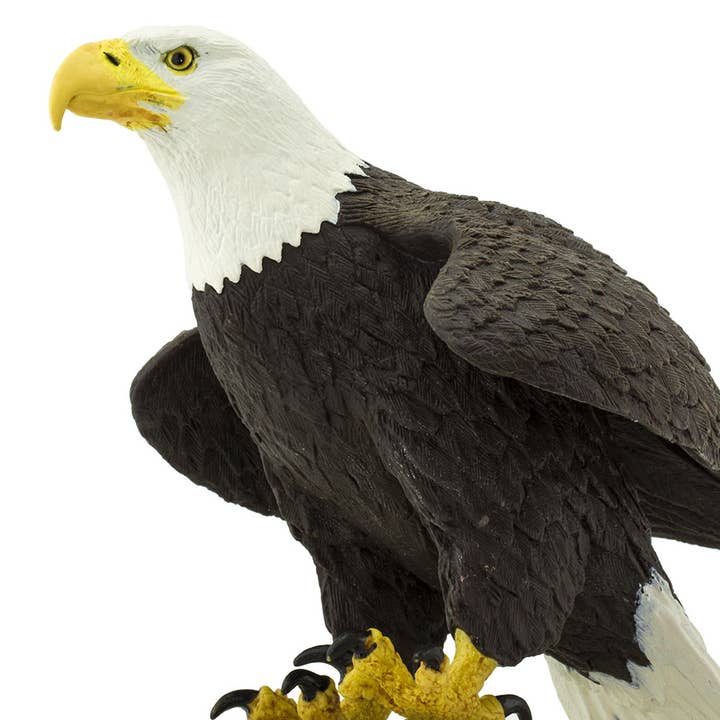 Safari Ltd. - Wholesale Decorative Figurine - Bald Eagle - 2510294