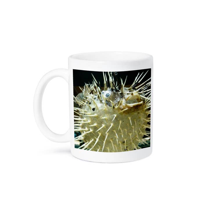 3dRose - Wholesale Coffee Mug - 3dRose, Billy BlowFish, Mug8