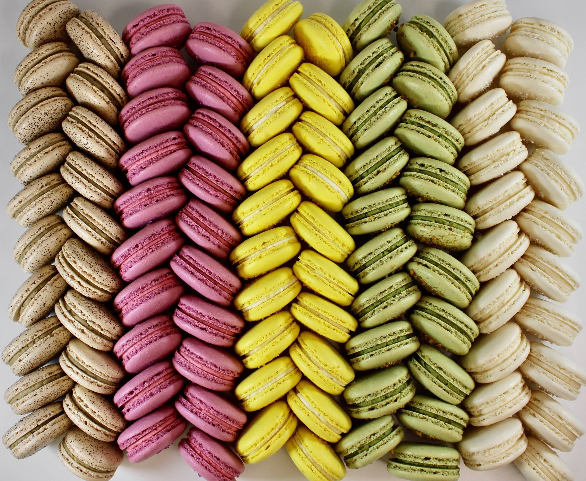 Savor Patisserie - Wholesale Cookie - The Classics Collection - Gift Box of 52