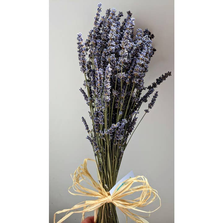 Daisy Gifts Ltd – wholesale Dried/pressed flowers – Dried Lavender Bunch / Bouquet with Raffia Bow1