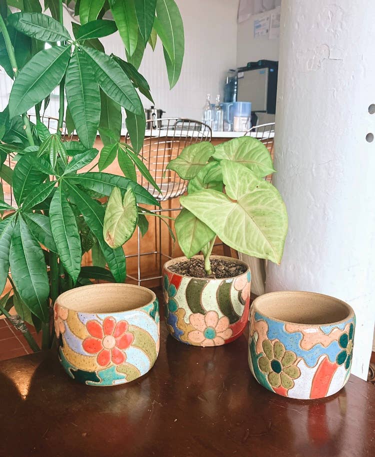 Eclecart Ceramics - Wholesale Plant pot - Flower Power Planter