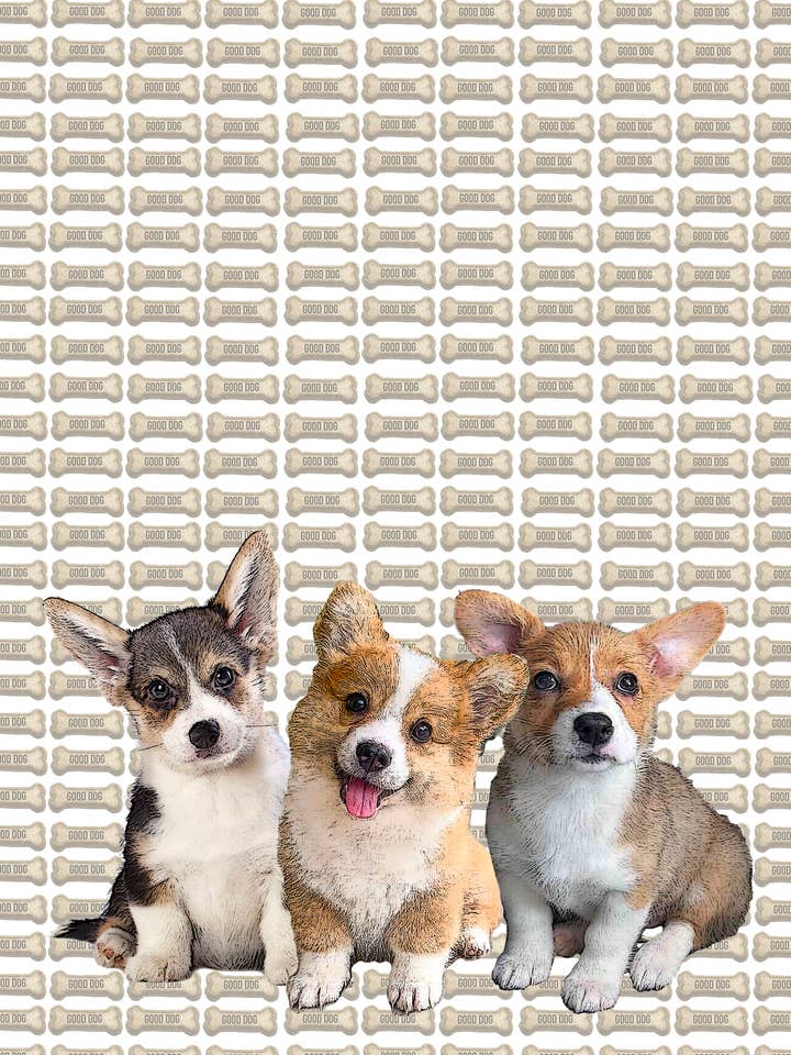 corgi hvalpe 100% bomuldsmel sæk køkkenhåndklæde 18 x 24" for engroshandel hos Alphie and Ollie