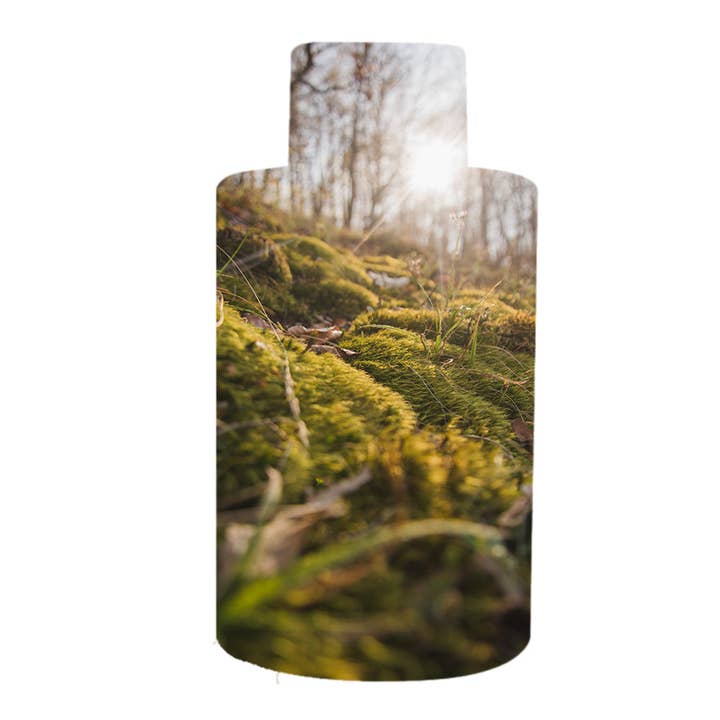 Woodland Sage – Scent Treatment for wholesale by Scentfinity