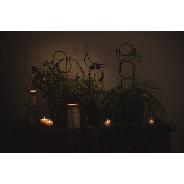PlantsNsht - Wholesale Trellis - Metal Crescent Moon Trellis