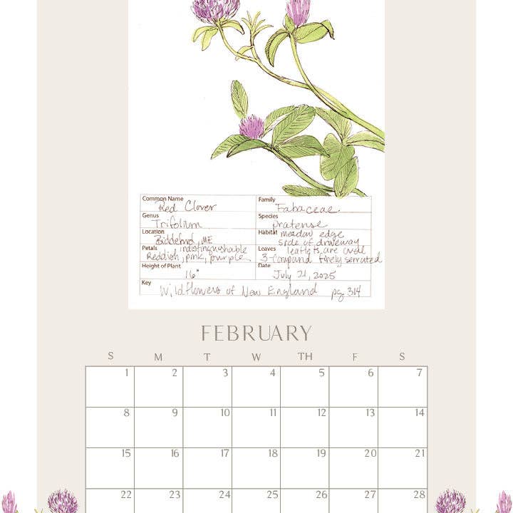 Rebekah Lowell Creative Studio - Wholesale Calendar - 2026 Wildflower Wall Calendar2