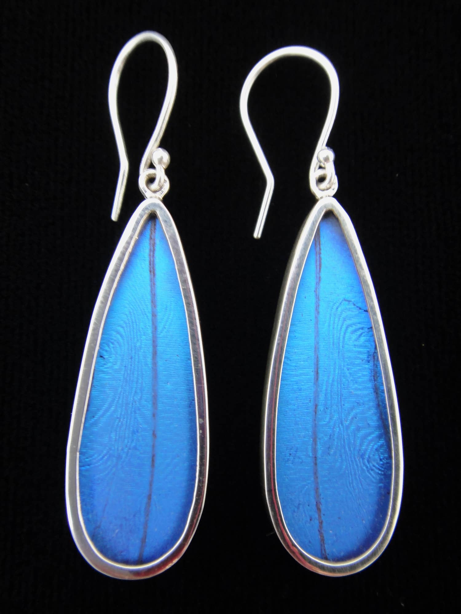 Tika - Wholesale Dangle Earrings - Shimmerwings "Blue Morpho" Butterfly Long Drop Earrings1