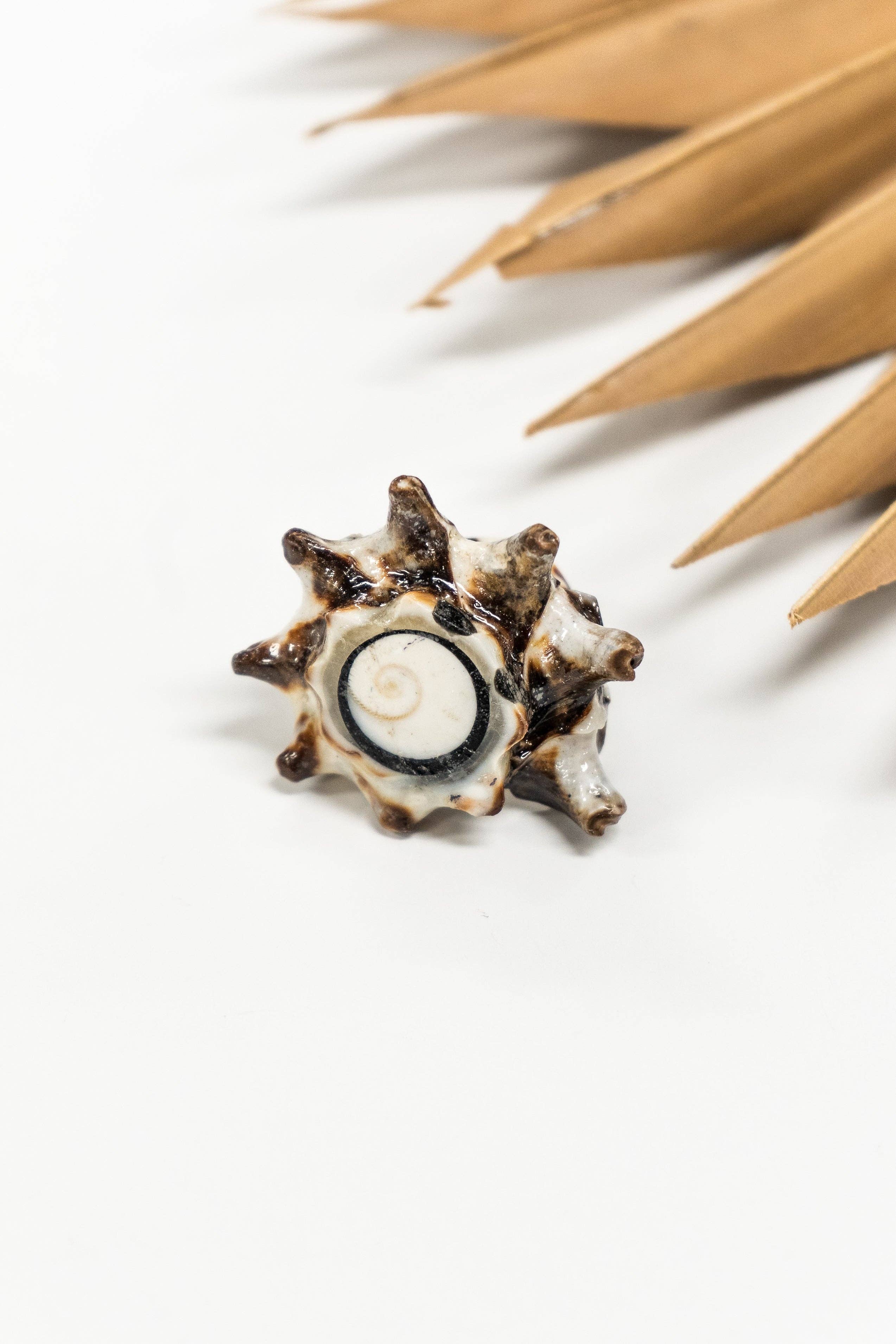 Bali Queen - Wholesale Cocktail/Statement Ring - Bali Shell Rings19