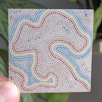 Rainbow Squiggle Sticker for wholesale by Matthew Goetzka ~ The Patient Artist
