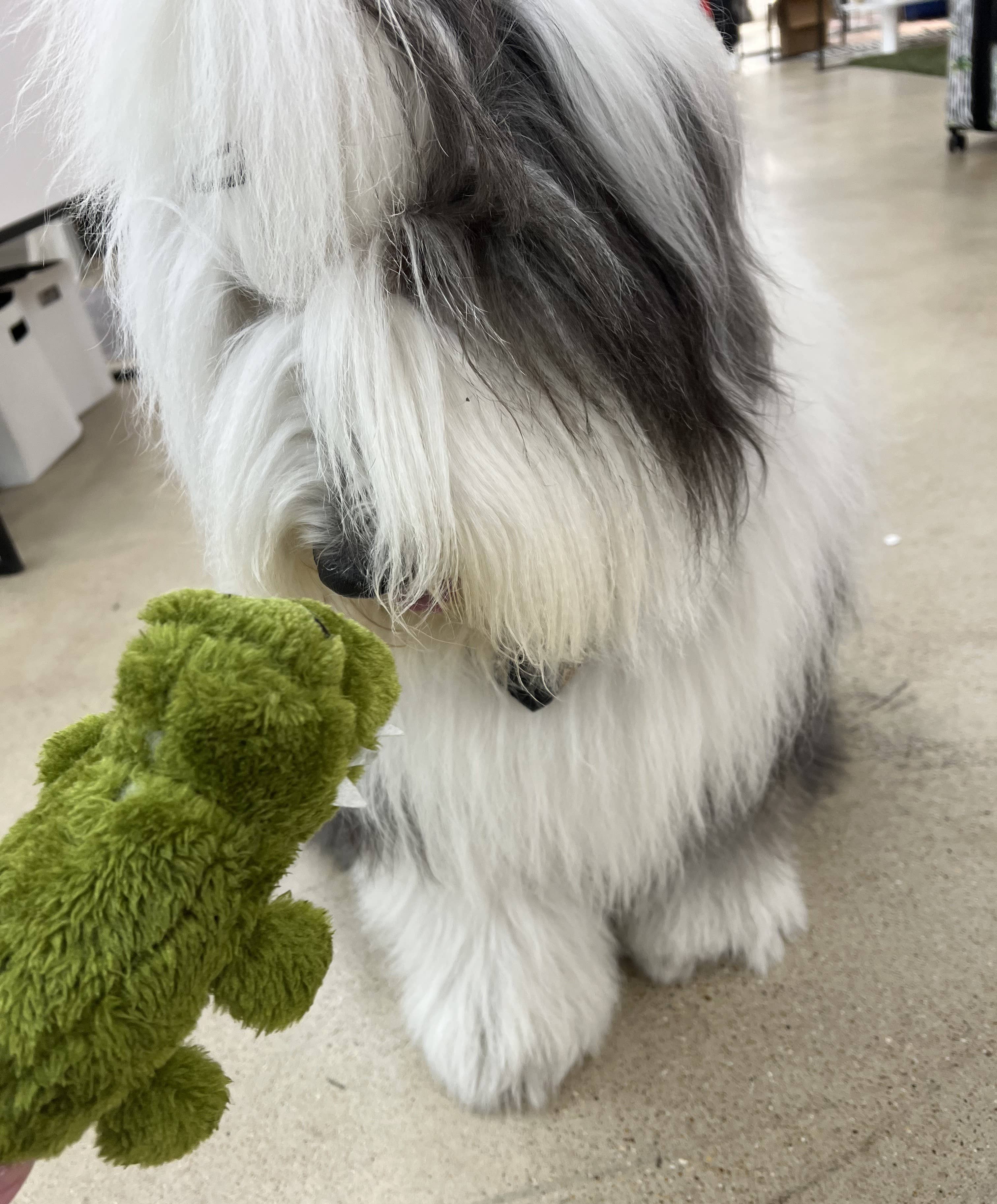 Pet Souvenirs – wholesale Pet squeaky toy – Dog – Plush Squeaky Alligator Dog Toy3