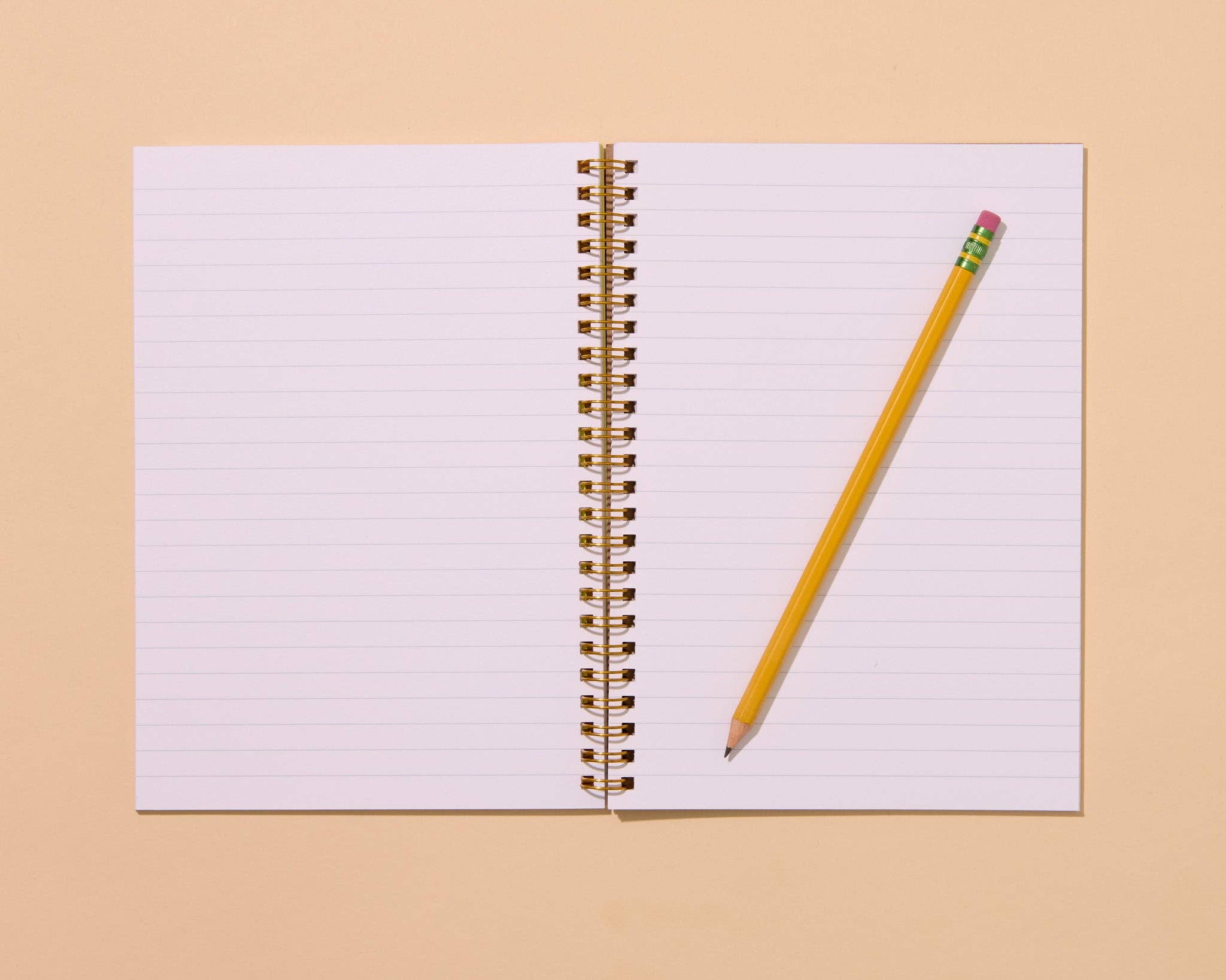 And Here We Are - Wholesale Notebook - Sardines Letterpress A5 Spiral Notebook - Made in USA - Seafood - Ocean - Beach - Animals - Foodie - Coastal - Back to School, Housewarming Gift - Stocking stuffer, Holiday, Gift Guide4