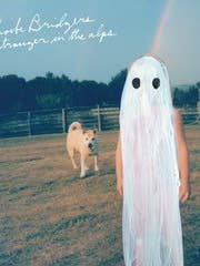 Phoebe Bridgers 12x12 for wholesale by Posters Wholesale