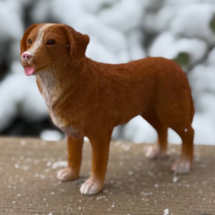 Figurina di cane Nova Scotia Duck Tolling Retriever per la vendita all'ingrosso da parte di Canine Companions