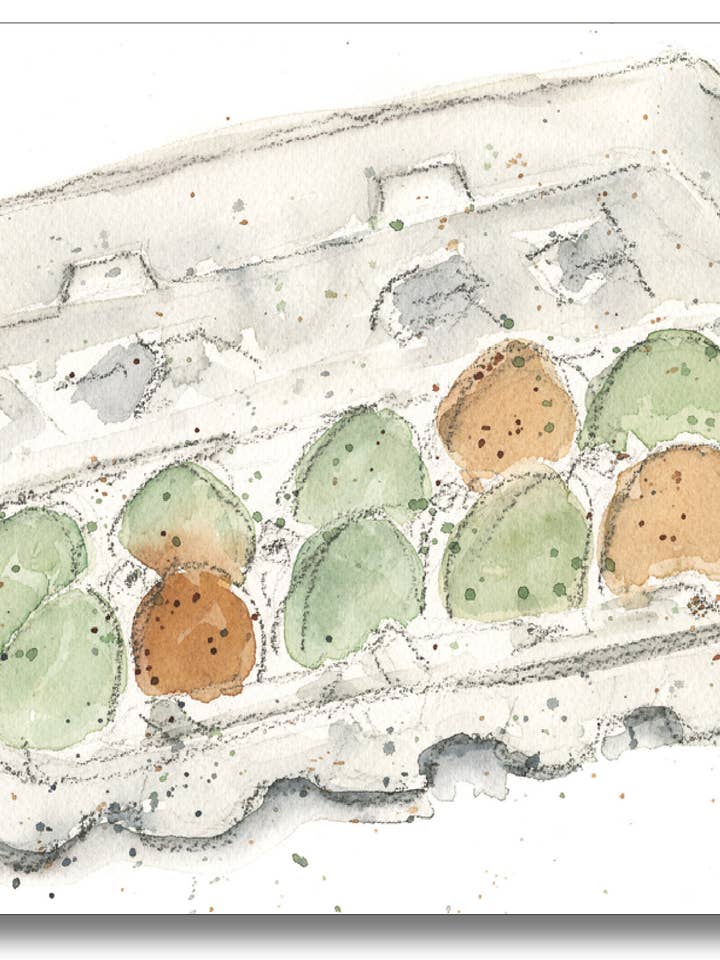 Huevos ecológicos para venta al por mayor de WORDS & WATERCOLORS BY PEG CONLEY