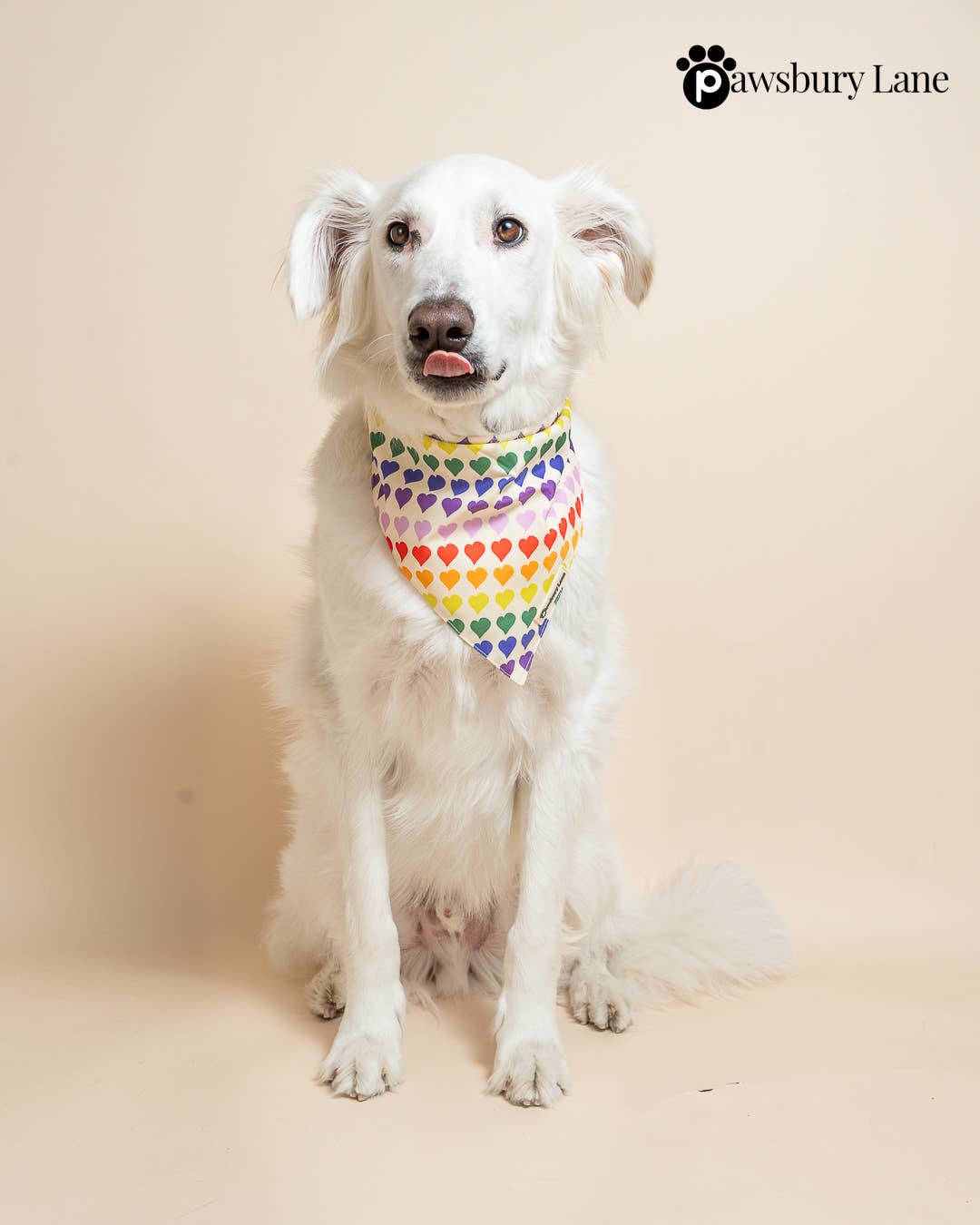 Pawsbury Lane – wholesale Pet bandana – Dog – Matching Pet and Owner: Headband and Bandana - Love in Color3