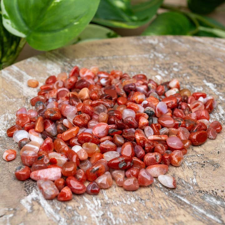 Carnelian Crystal Chips. 1lb. for wholesale by Down To Earth