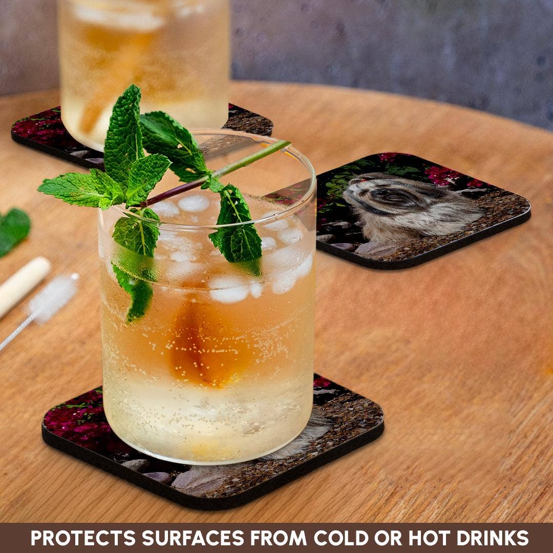 3dRose - Wholesale Coasters - 3dRose, Havanese sitting in front of flowers , Coaster9