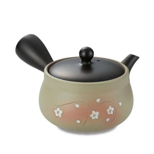 Japanese Green Tea Co. - Vendita all'ingrosso Teiere - Tokoname Yaki Kyusu teiera da 270 cc per tè Fukamushi1