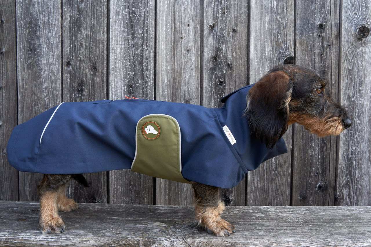 Midnight Navy Imperméable pour teckel Cooper en bleu marine en vente sur Faire1