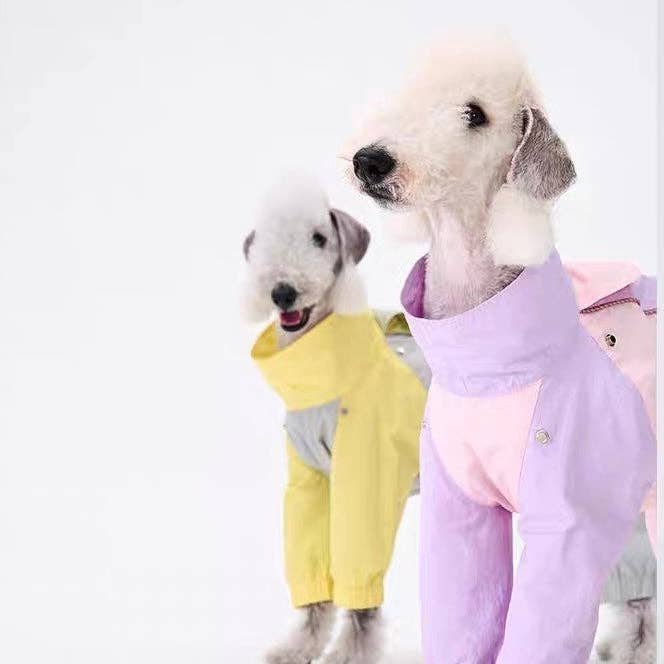 Colorful Raincoat & Hats Bedlington Dog Clothes for wholesale by EggeStore