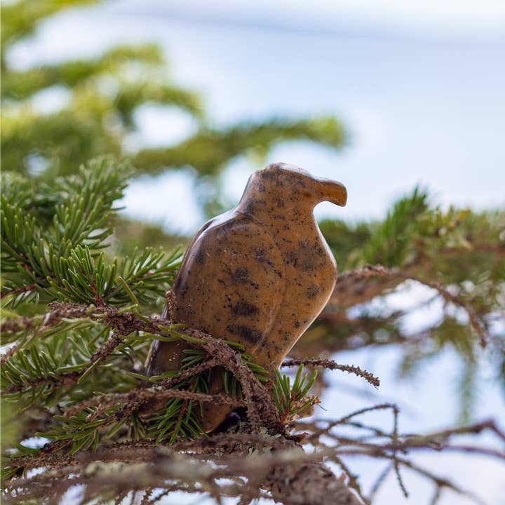 Studiostone Creative - Wholesale DIY Craft Kit - Eagle Soapstone Carving Kit7