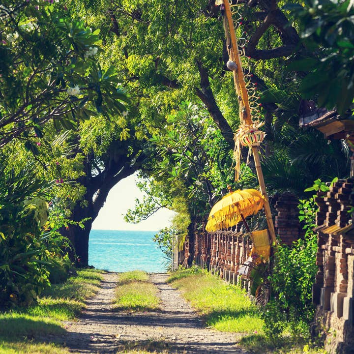 Indonésie Dark pour la vente par Due Torri Coffee