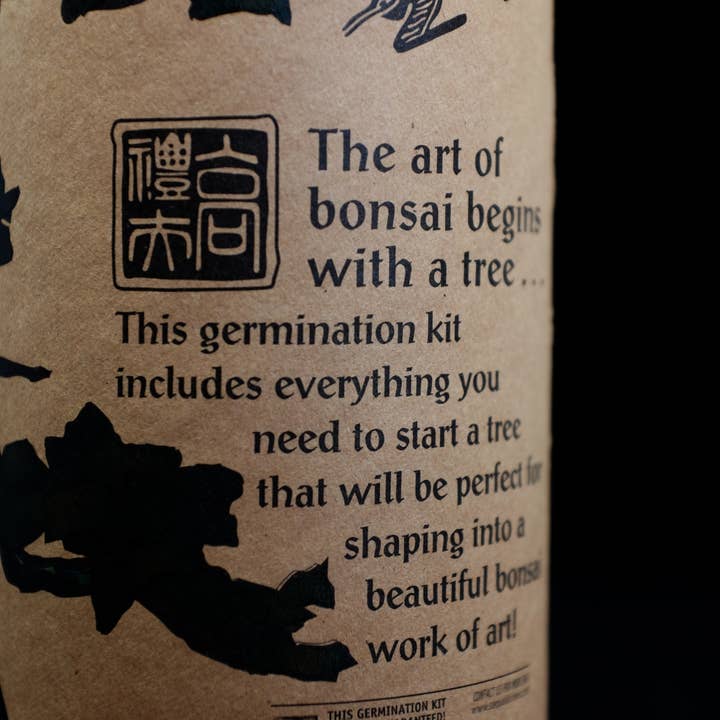 The Jonsteen Company - Vente Graines de plantes - Bonsaï Tree | Kit de culture de semences6