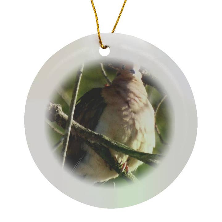 3dRose - Wholesale Ornament - 3dRose, Morning Dove , Ornament