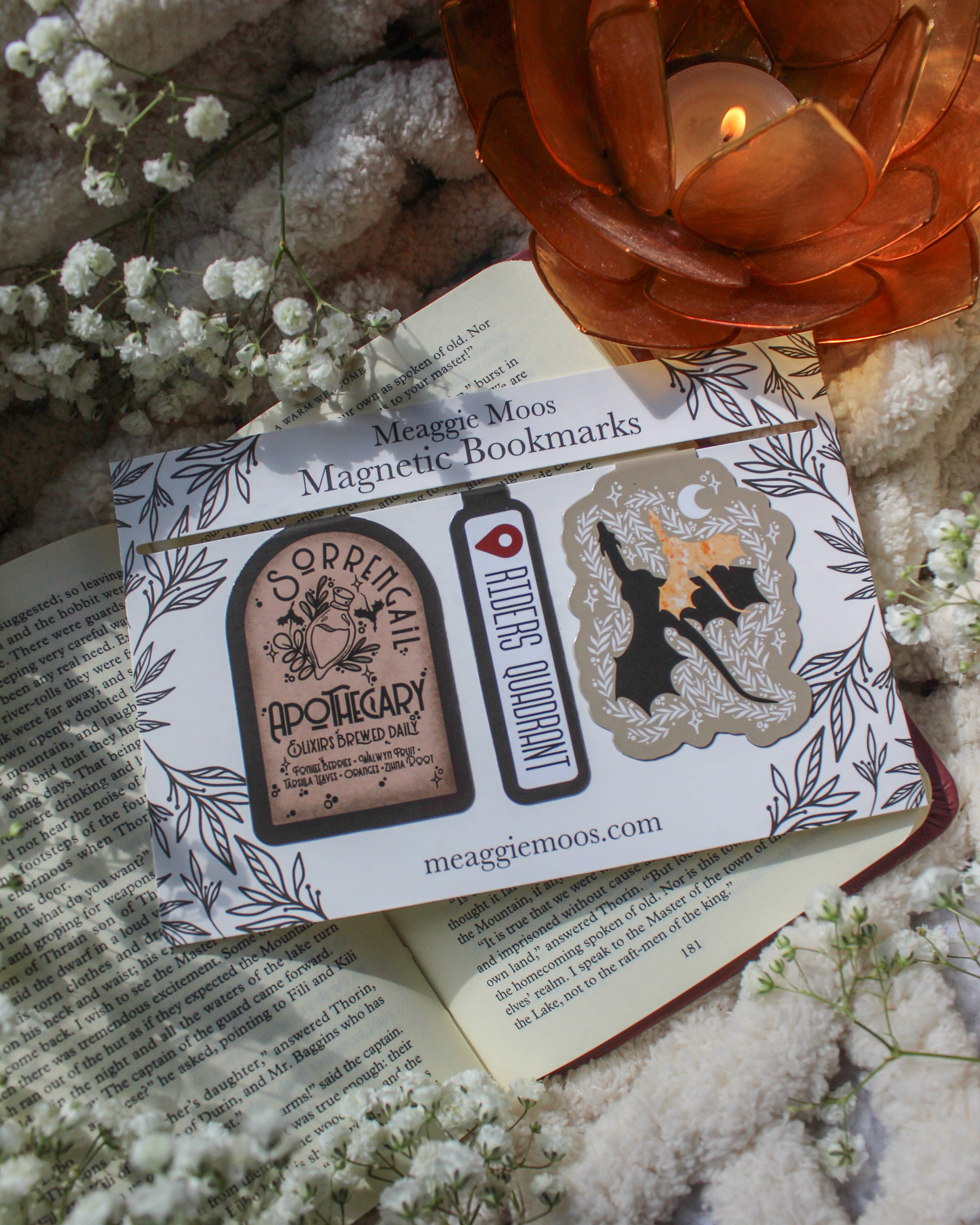 Meaggie Moos - Wholesale Bookmark - Fourth Wing Magnetic Bookmarks | Set of 34