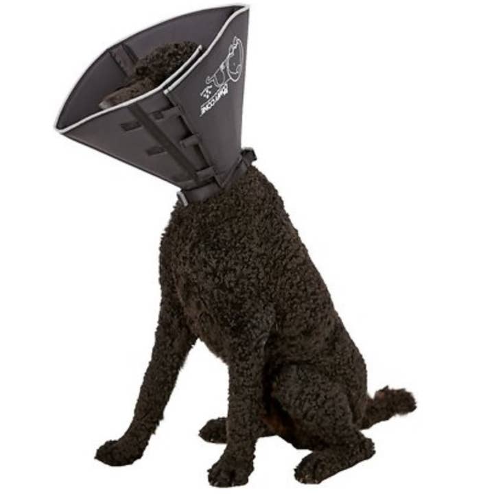 All Four Paws - Wholesale Pet Collar - Dog - Med-Extra Long-The Original Comfy Cone