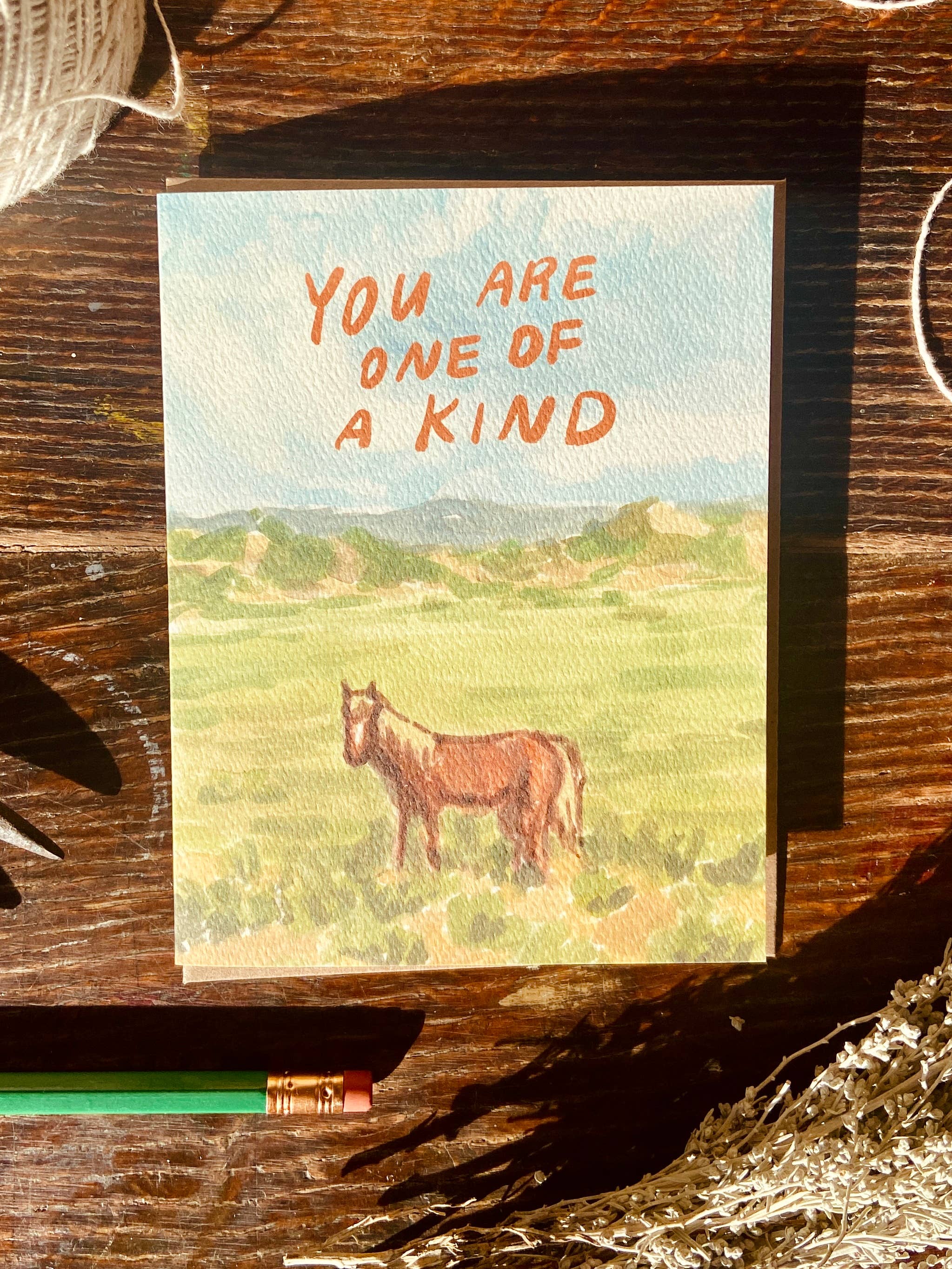 Little Salt Wagon - Wholesale Everyday Greeting Card - You're One of a Kind Horse Western Cowgirl Greeting Card2
